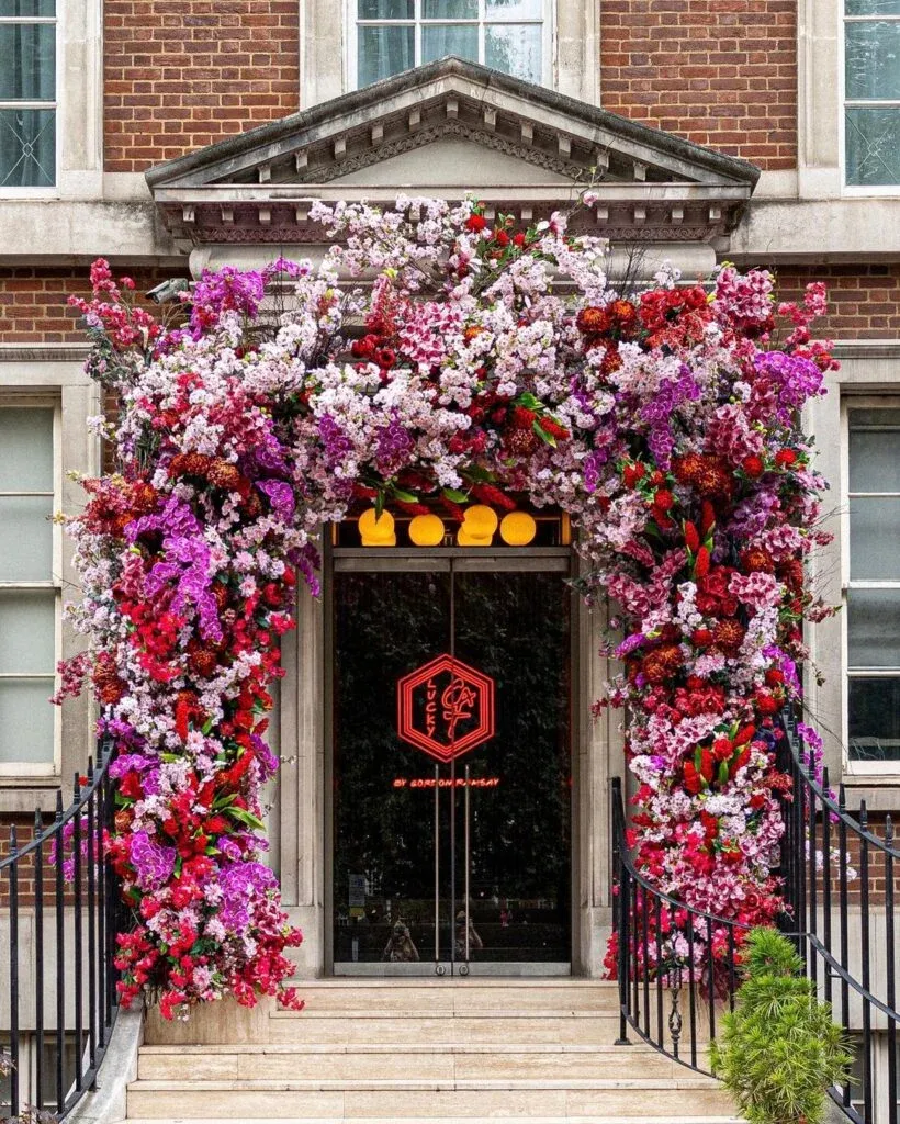 Lucky Cat Gordon Ramsay